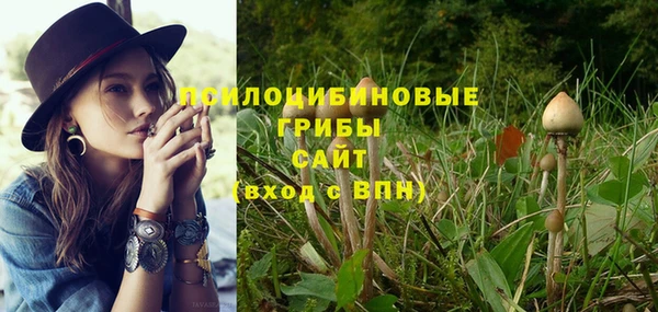 бутират Верхний Тагил