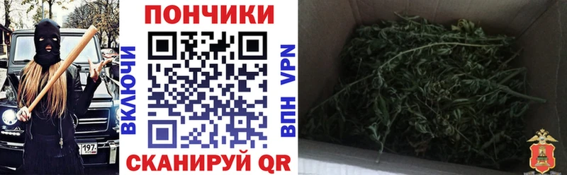 MEGA ONION  Гатчина  Канабис Amnesia 
